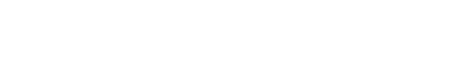 Senior Art Director